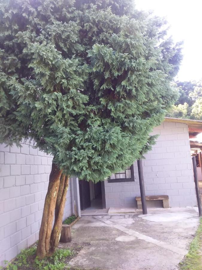 Campos do Jordão Kitnet Recanto De Campos-Pertinho Do Centro 빌라 외부 사진