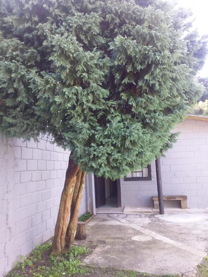 Campos do Jordão Kitnet Recanto De Campos-Pertinho Do Centro 빌라 외부 사진